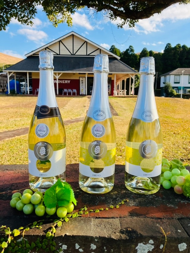 早い者勝ち‼　スパークリングワイン　ナイアガラ　特別セット