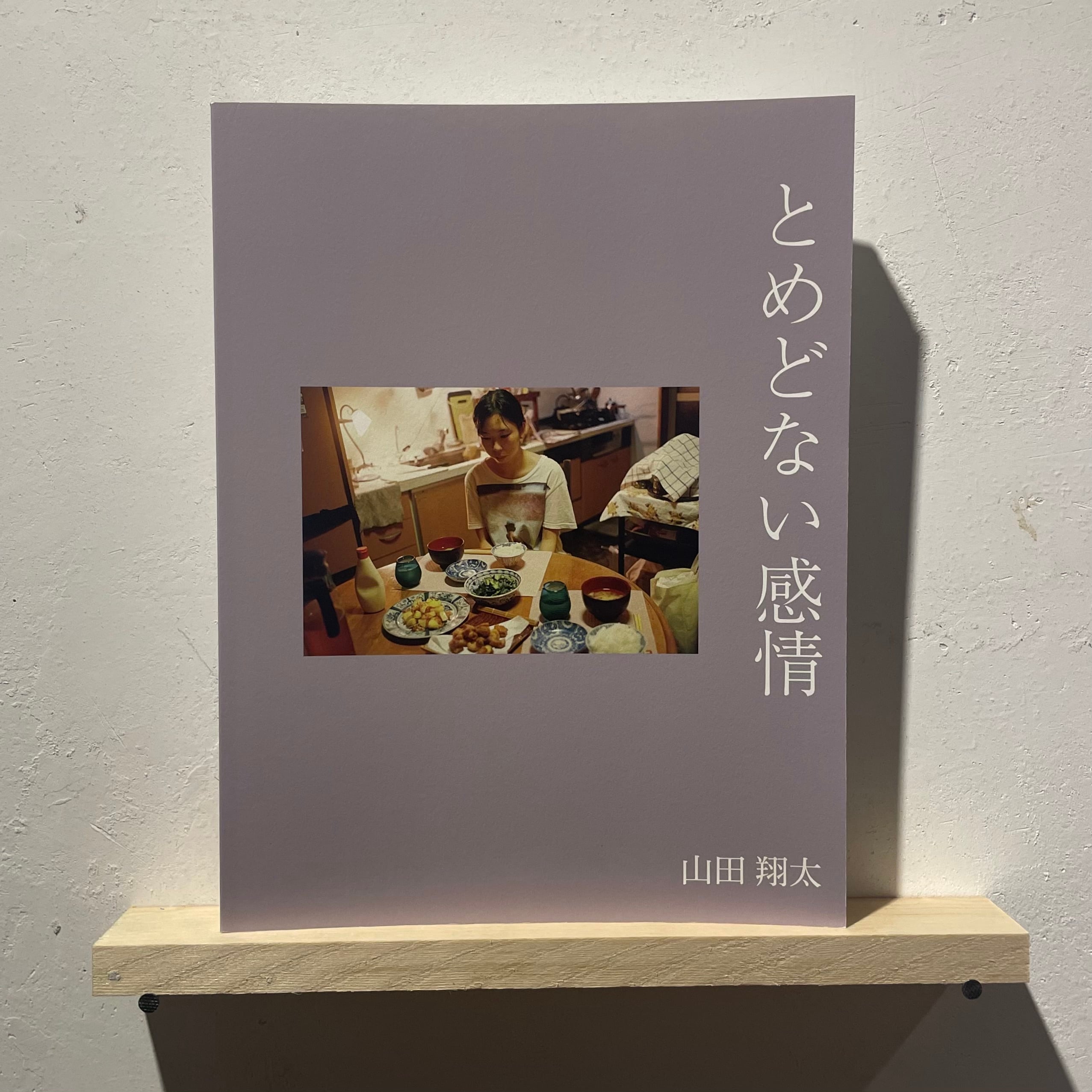 山田翔太 / とめどない感情