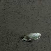 硅砂組 - 散華