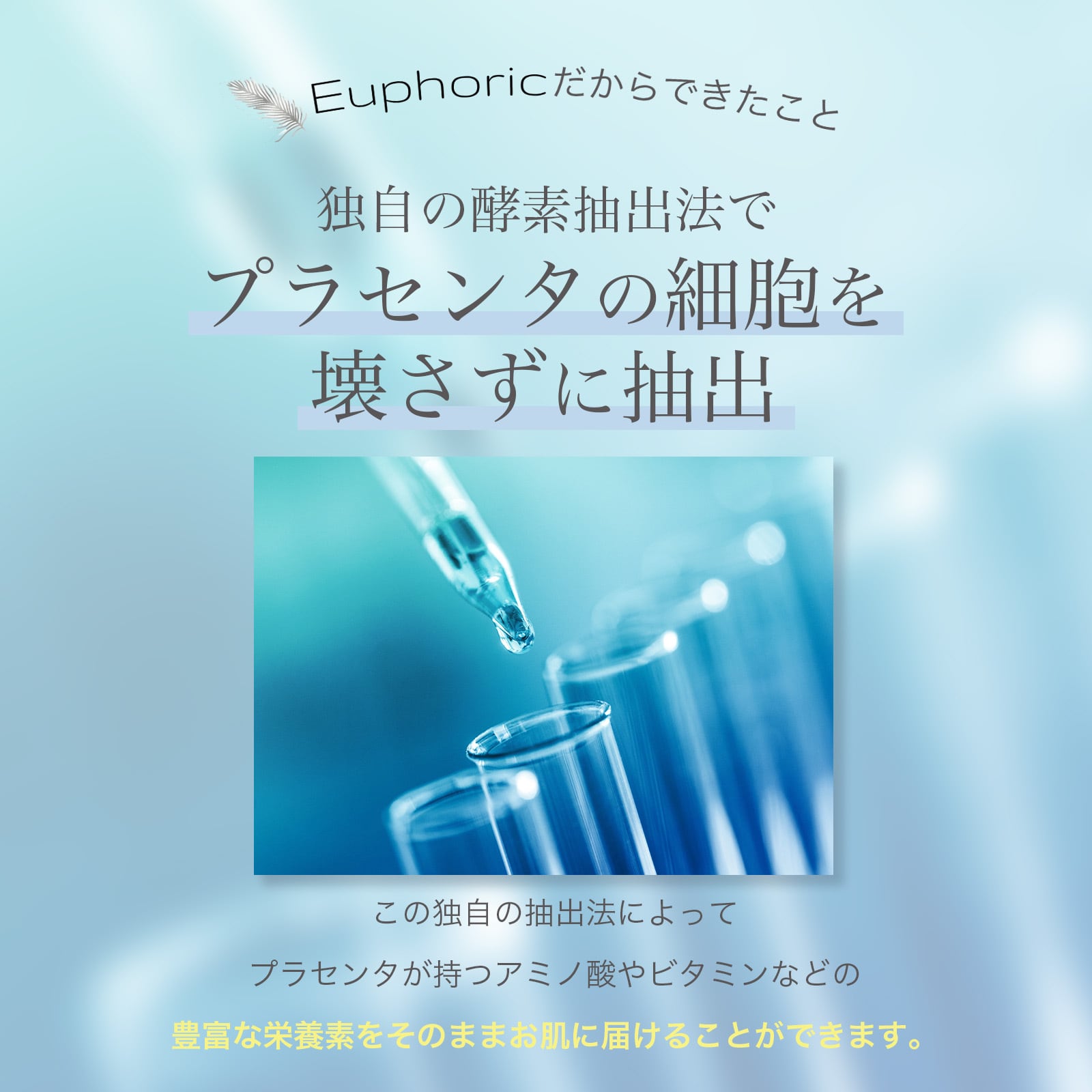 洗顔トライアルセット（モイストウォッシュ＋P.P.エッセンスお試し