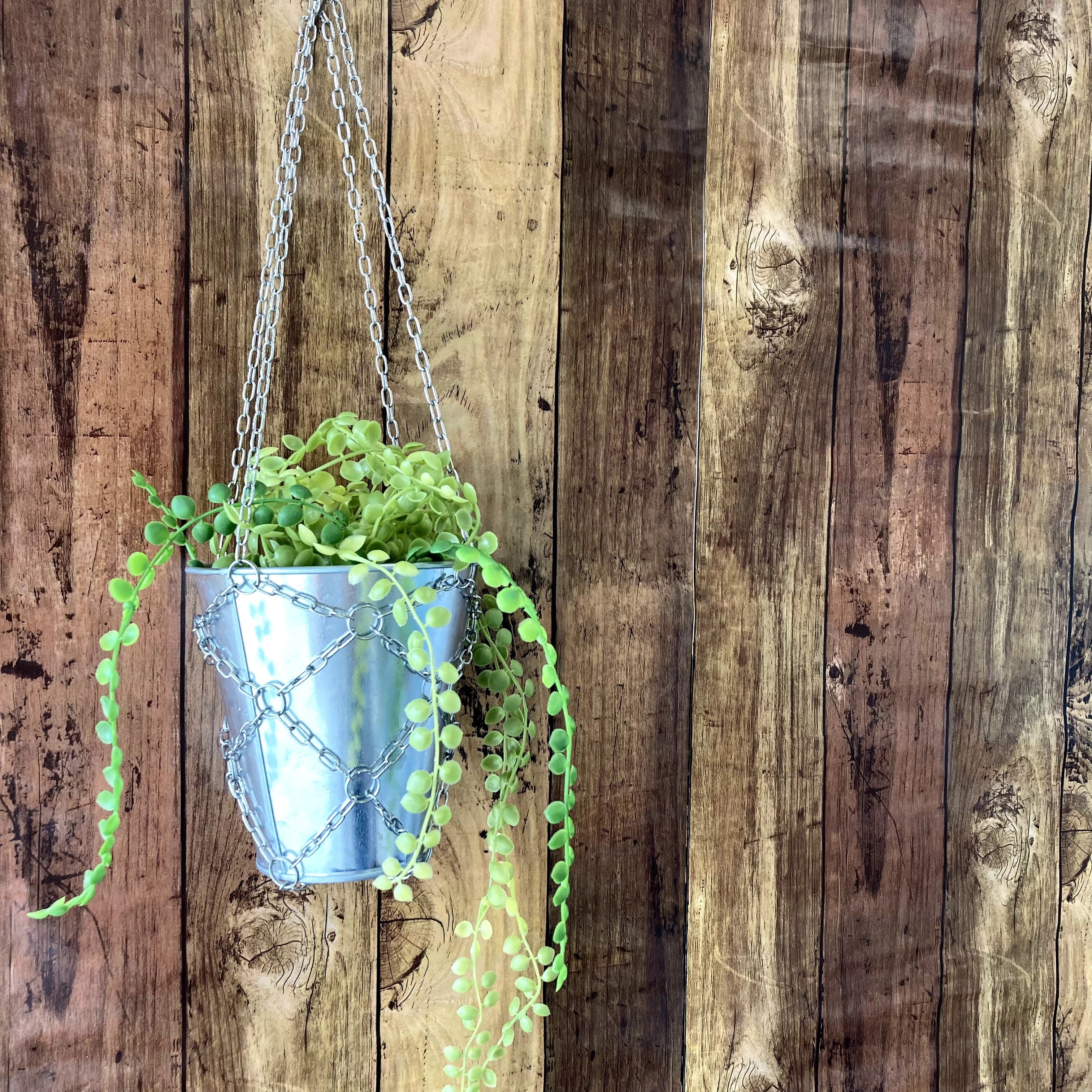 ローズ (3号鉢サイズ) | ステンレス製プラントハンガー | ステンレス製