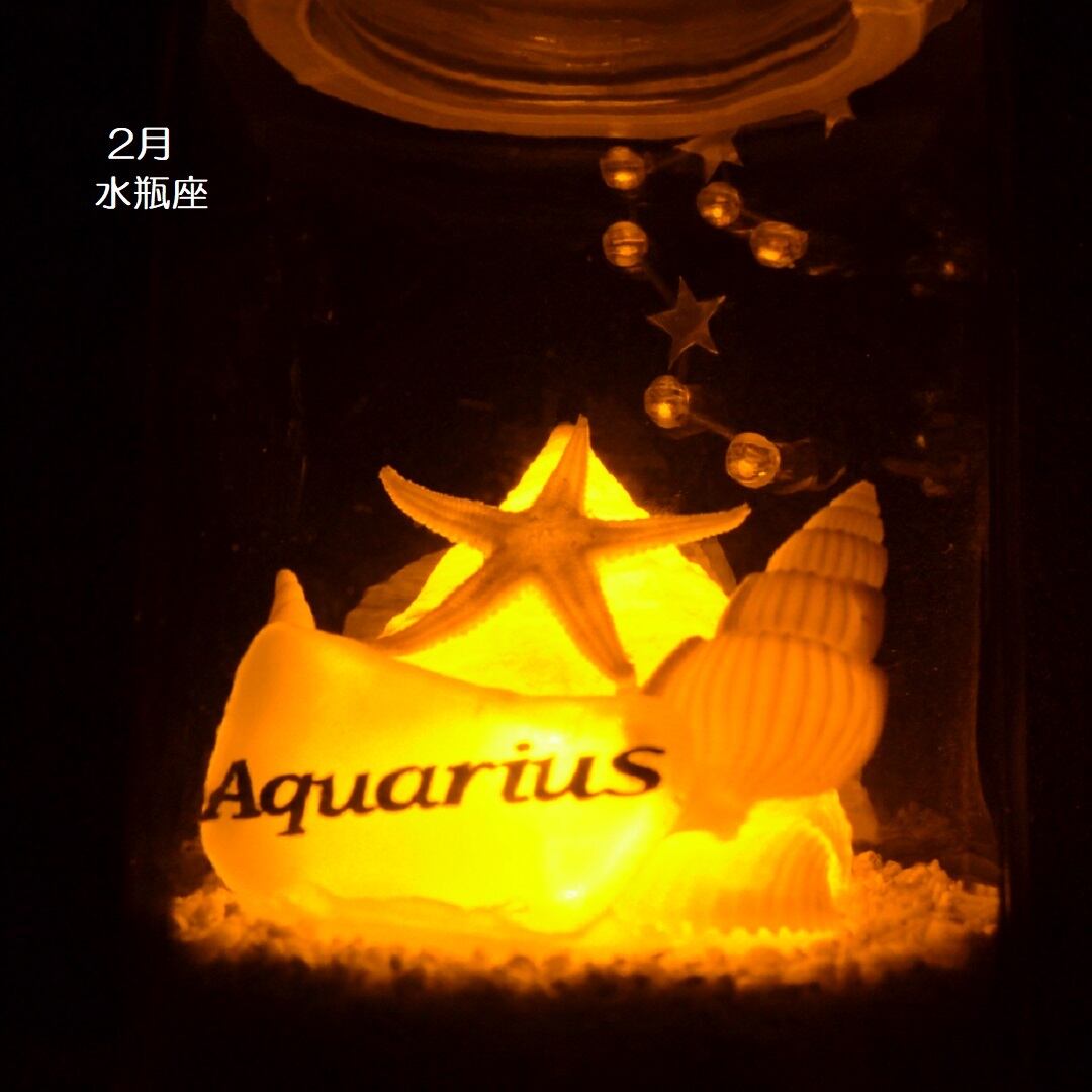 ２電源　星座シェルランプ（2月 水瓶座 Aquarius）