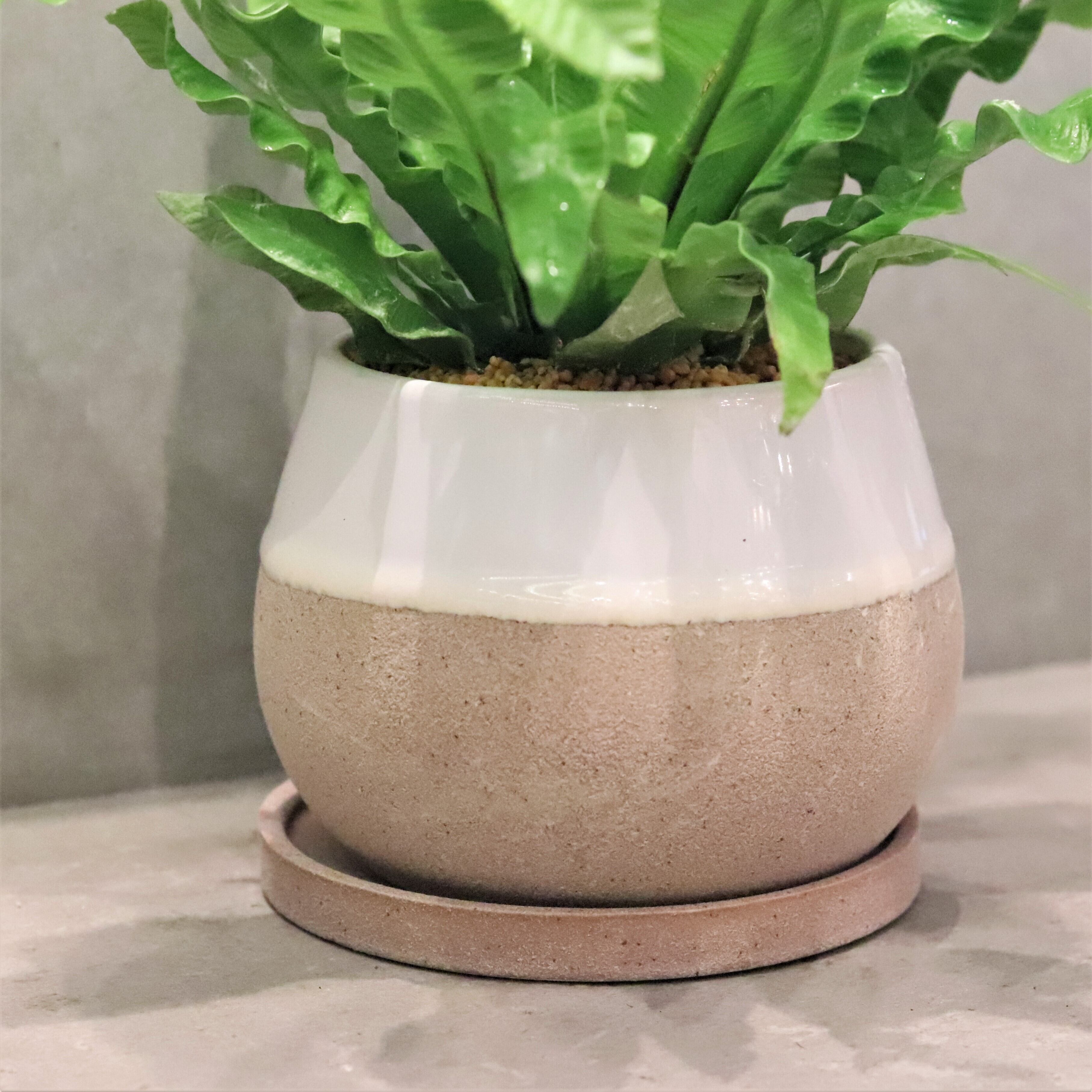 グリーン エメラルドウェーブ ジーフラットインテリアショップ Online Shop