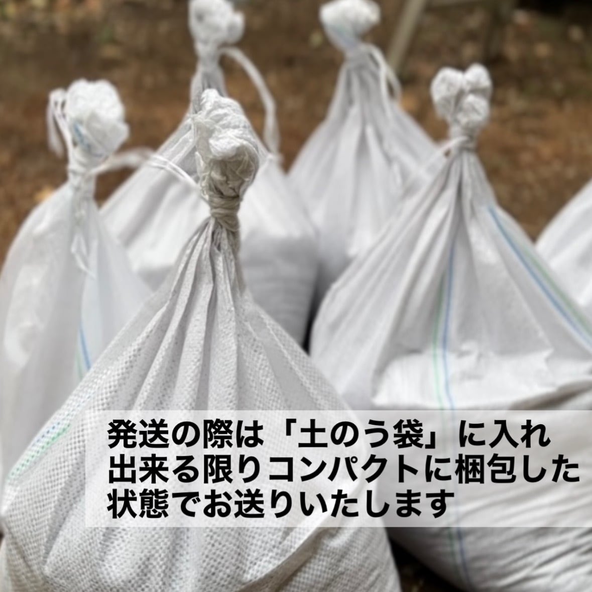6L 〚植物と一緒に育てる土 