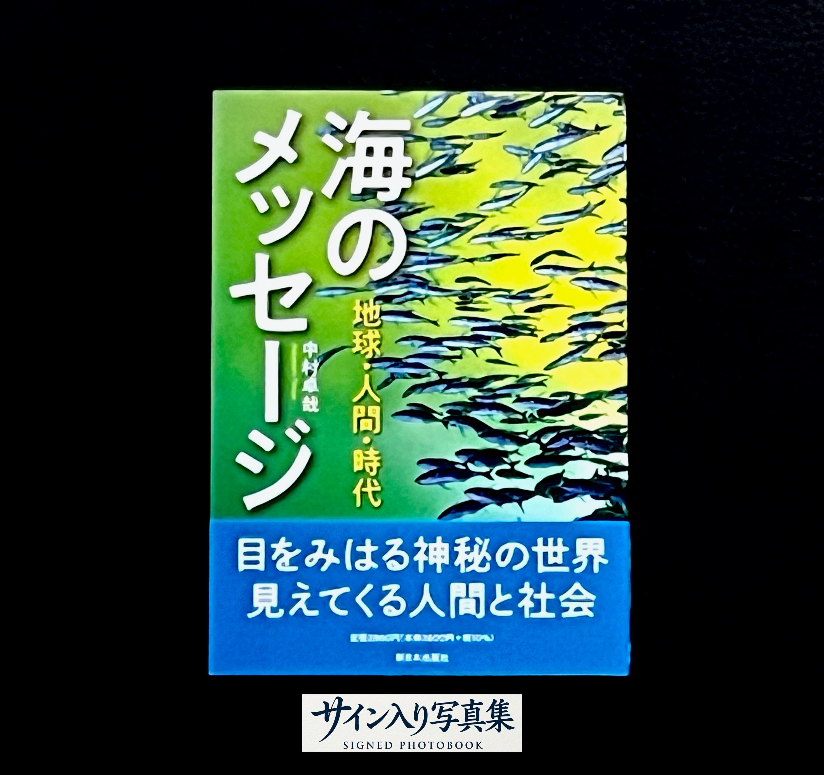 Daido Hysteric No.6 1994 森山大道 Daido Moriyama 写真集 | Pay ID