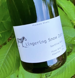 Lingering Snow Zebra 2025／水掛ワイナリー | SACRISTÍA