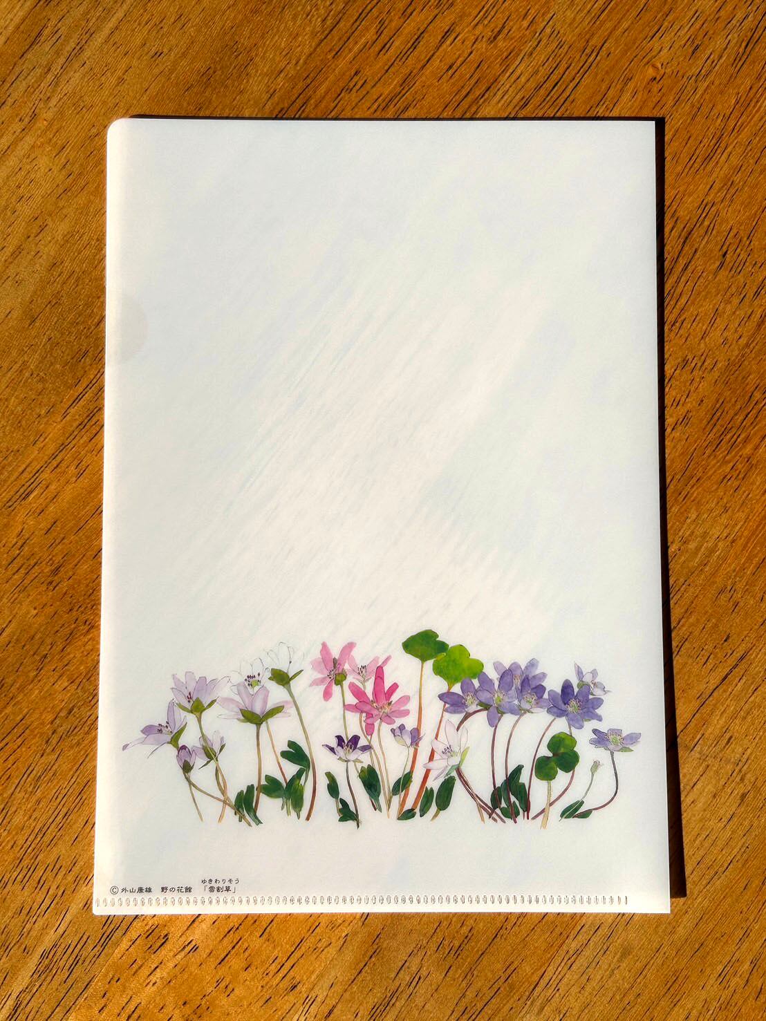 外山康雄 野の花館 オンラインショップ
