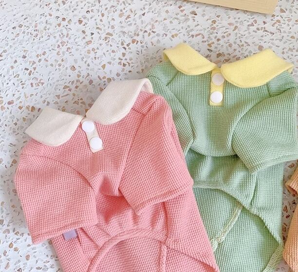 キャット 猫 ドッグ 犬 小型犬 室内着 シャツ 細身 ストレート スマート 襟付き 袖付き カラフル リボン 薄手 刺繍 かわいい きれいめ シンプル おしゃれ レトロ 個性的 エレガント モダン 存在感 ラブリー キュート プリンセス フェアリー 都会的 ベーシック プレッピー シンプル フレンチ シック 春 夏 ロングシーズン 春服 秋服 男の子 女の子 成犬 成猫 デート お出かけ お泊まり 旅行 レストラン 公園 休日 ガーデン カフェ ガーデン 散歩 ウォーキング 室内 おうち インスタ映え