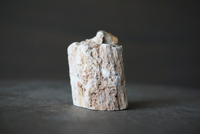 珪化木 ペトリファイドウッド Petrified Wood 1205~1210