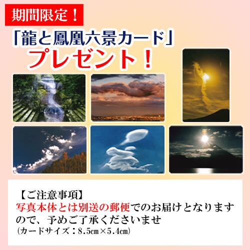 秋元隆良 奇跡の写真 「神在月にて(神の出現）」【龍と鳳凰六景カード