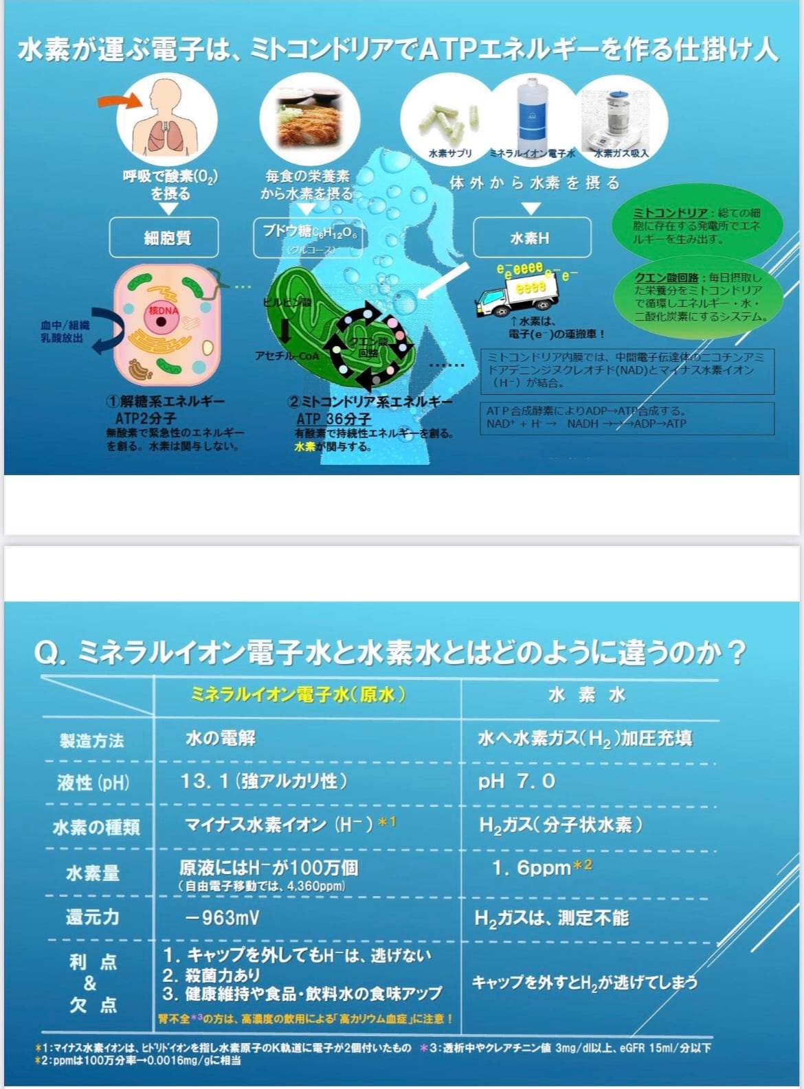 トリプルH ミネラル電子水（ホワイト量子エネルギー転写） | Pay ID