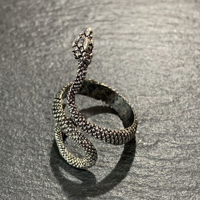 銀蛇 ぎんだ の指輪 異世界雑貨屋 銀蛇 ぎんだ の指輪 異世界雑貨屋
