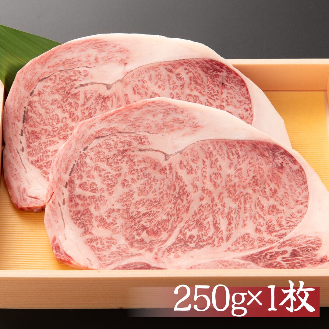 鹿児島・宮崎県産　黒毛和牛A5ランク　ロース【ステーキ用】 250g×1枚　贈答　お歳暮　プレゼントに！