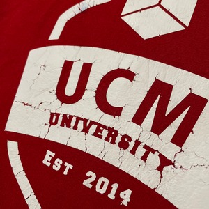 【GILDAN】カレッジ UCM UNIVERSITY セントラルミズーリ大学 オハイオ大学 ロゴ プリント パーカー スウェット プルオーバー フーディー M US古着