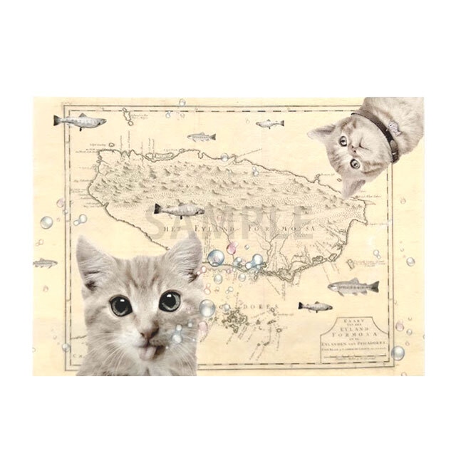 台湾ポストカード 猫 「台湾と猫」D