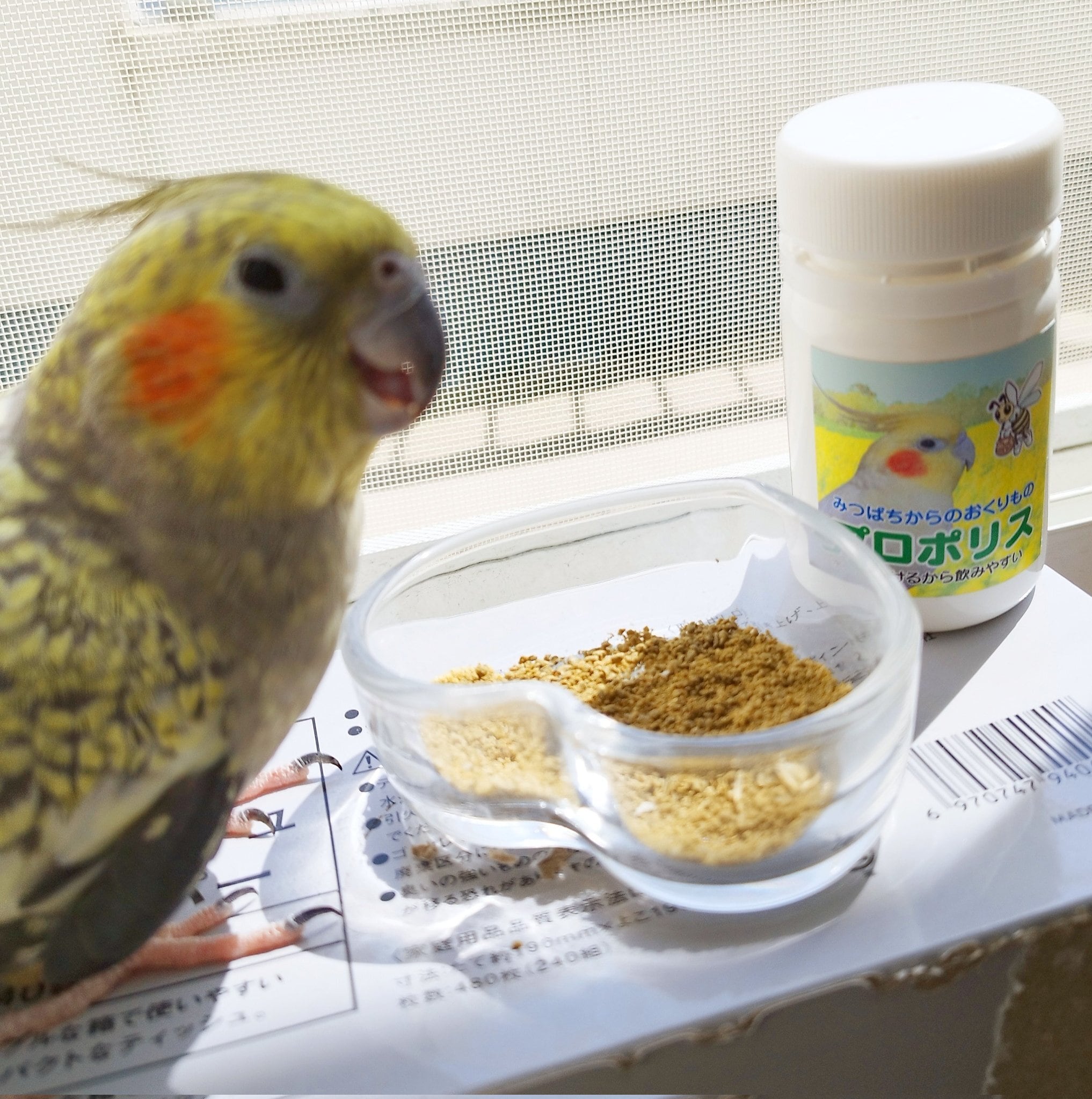 みつばちからのおくりものプロポリス(40g)チョコボB 菜の花畑