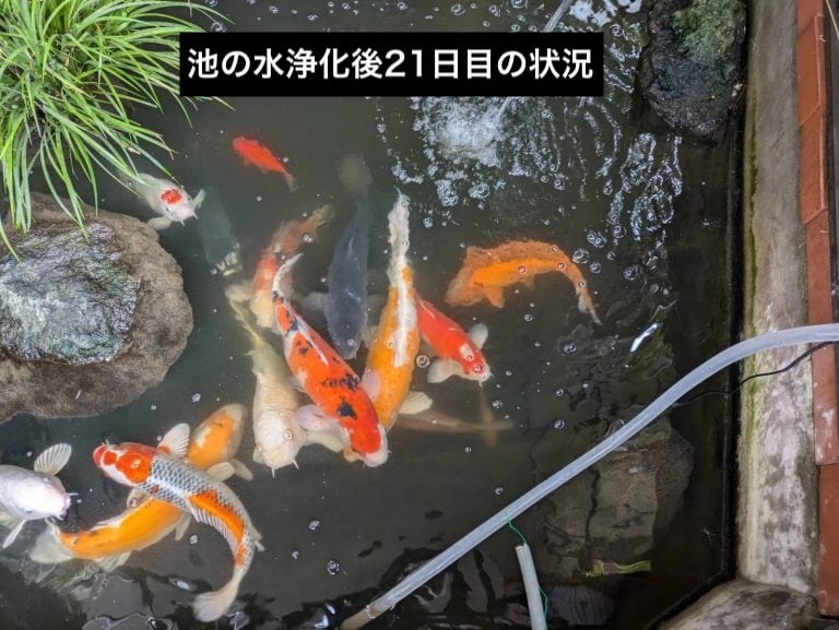 水槽濾過パワー モデル100（100L用）｜メダカ・金魚飼育に最適｜トロ船