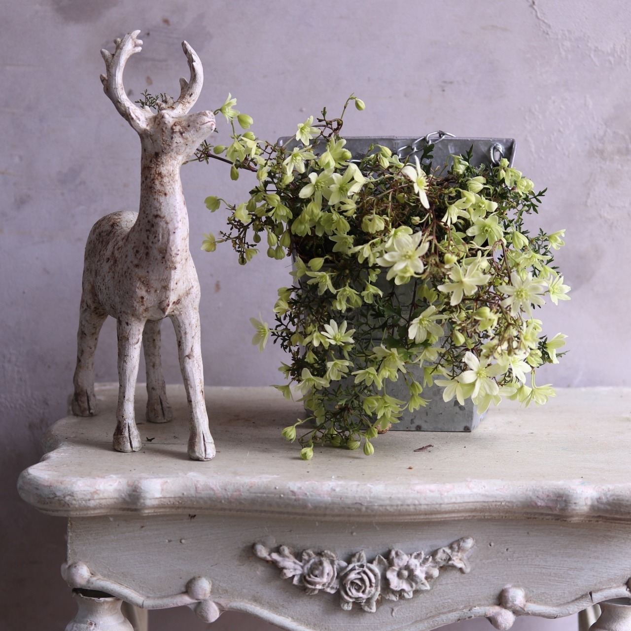 mondimanche　寄せ植え　ペトリエレターポット｜寄せ植え　届いてすぐ玄関に飾れる 　プレゼントにもオススメ　