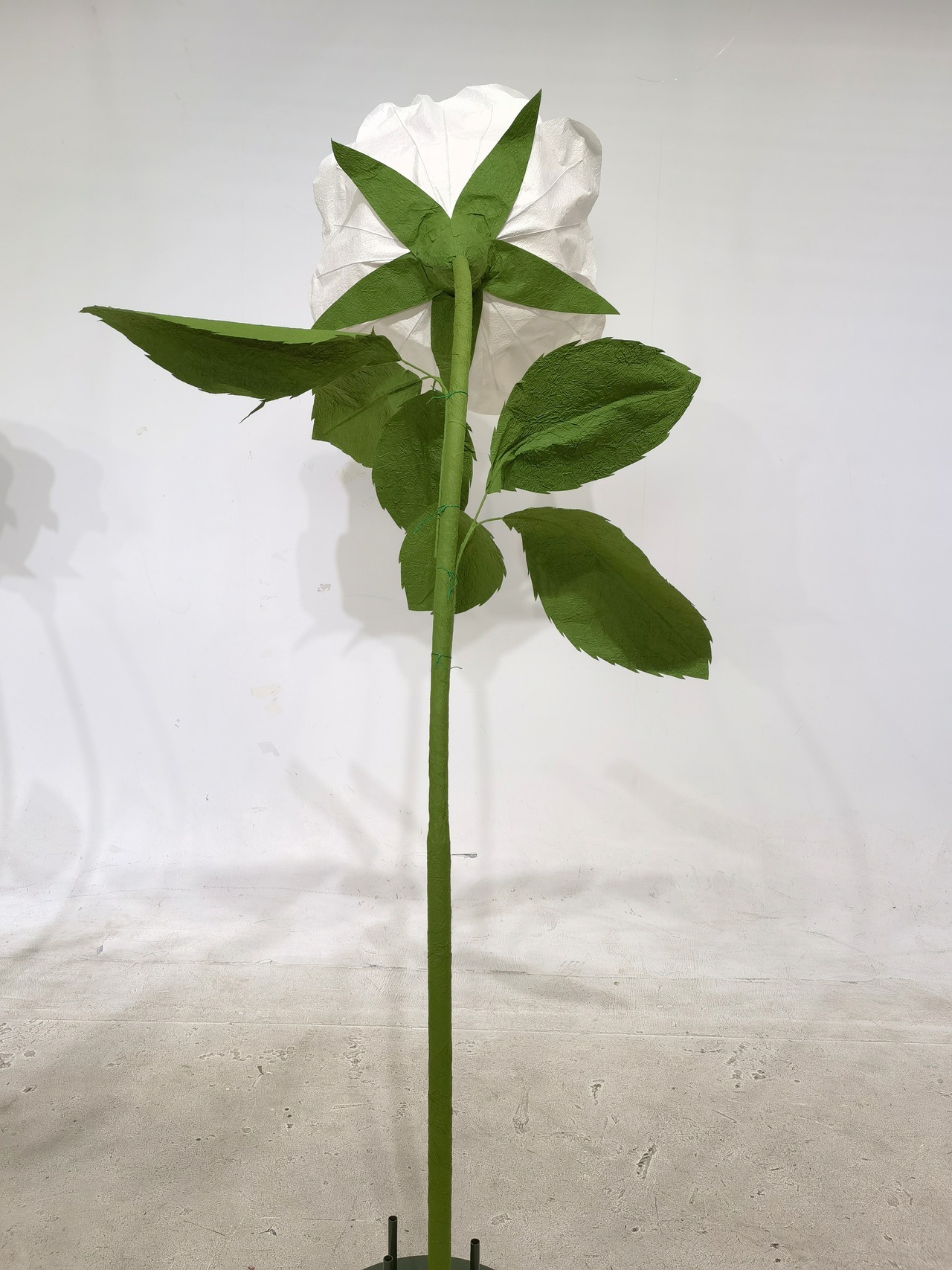 ペーパー ジャイアントフラワー バラ70cm ホワイト