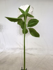 ペーパー ジャイアントフラワー バラ70cm ホワイト