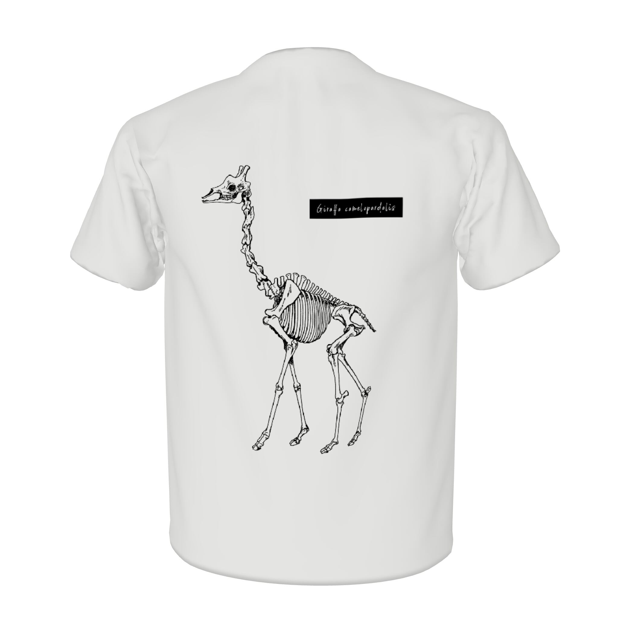 スケルトンキリンTシャツ（バニラ） | MaitaBASE