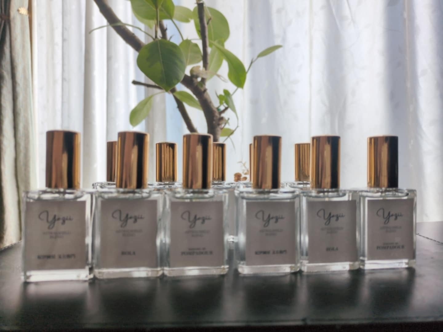 ニコラ・テスラブレンド（数量限定・再販）