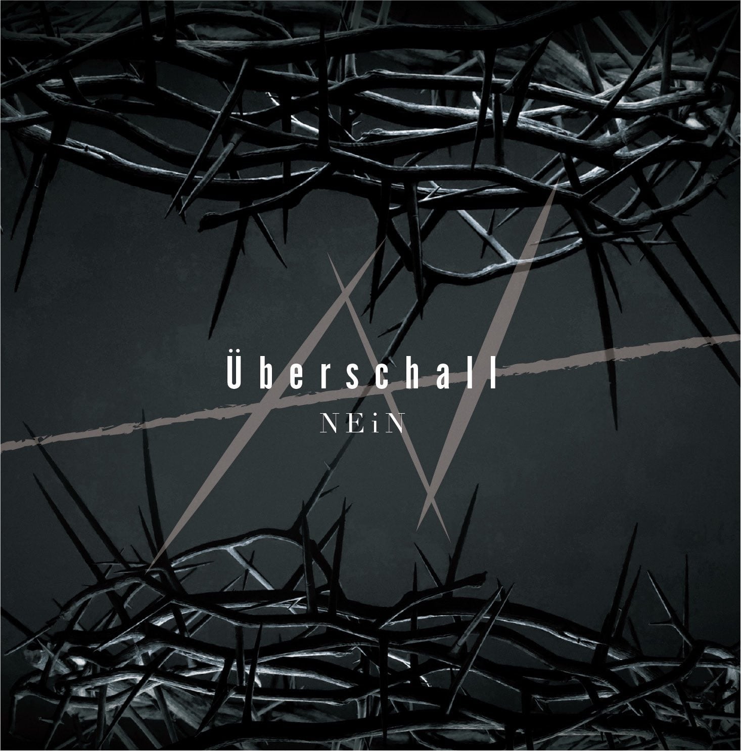 通販限定特典あり！】 1st Full album [katharsis] | NEiN OFFICIAL