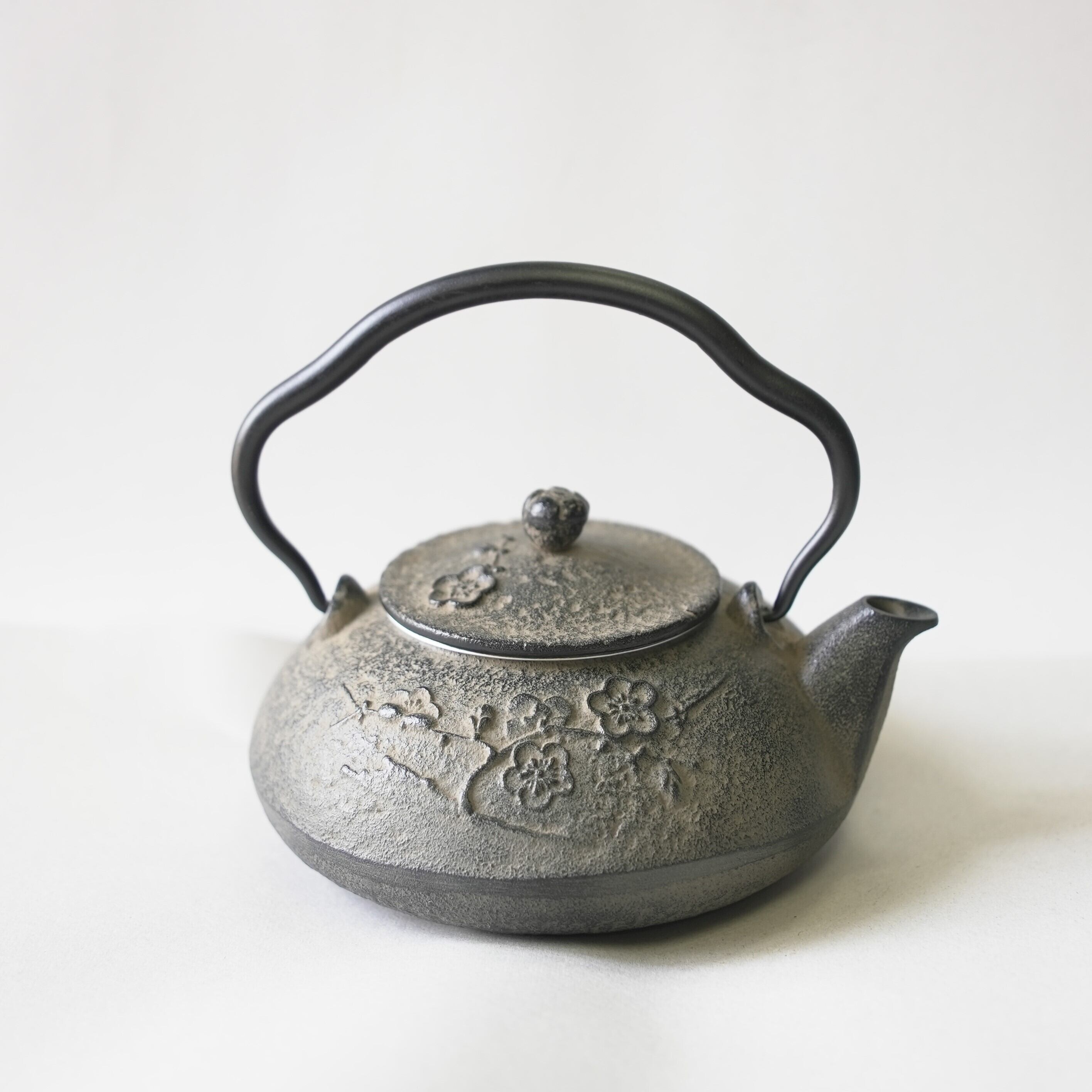 買得 南部宝生堂 小鉄瓶 東雲 0 5l Smebusinessfinance Com Au