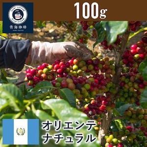 32 コーヒー 青海スペシャリティ珈琲 グァテマラ オリエンテナチュラル 100g ネコポス発送