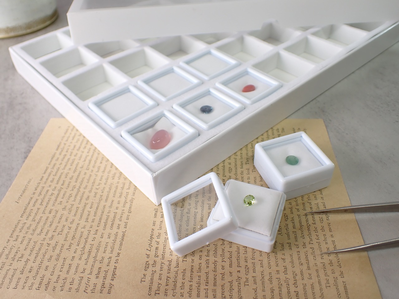 【WHITE】3cmルースケースコレクションボックス