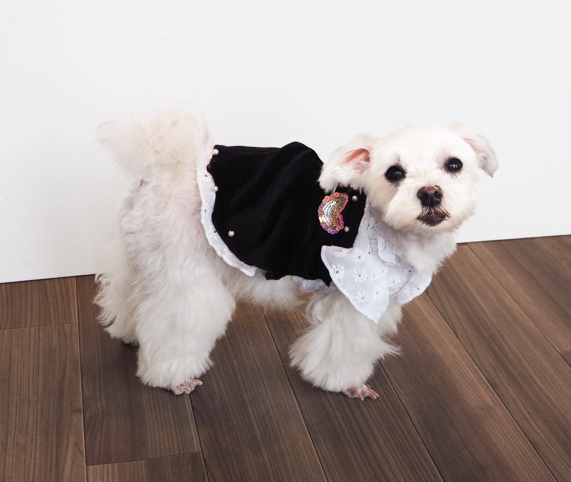 【ドッグウェア】 キラキラハート付ワンピ