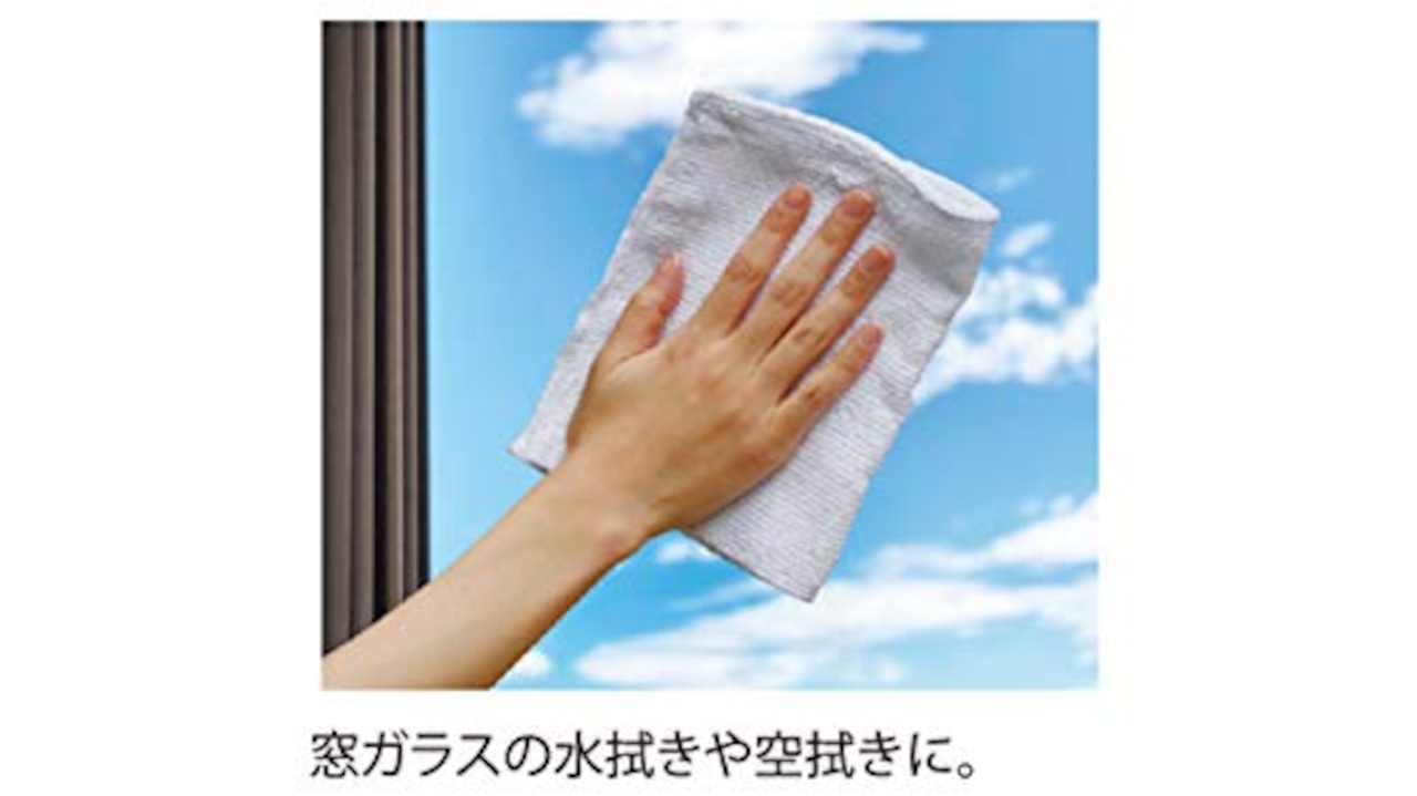addgood(アドグッド) HouseLab(ハウスラボ) ぞうきん 10枚 ガラス用