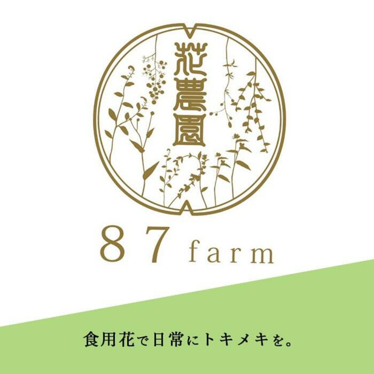 【87farm】A Happy Flower TEA 幸せの花茶 食べられるお花の紅茶