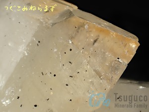 カルサイト 方解石 Calcite 産地不明 TM-0033
