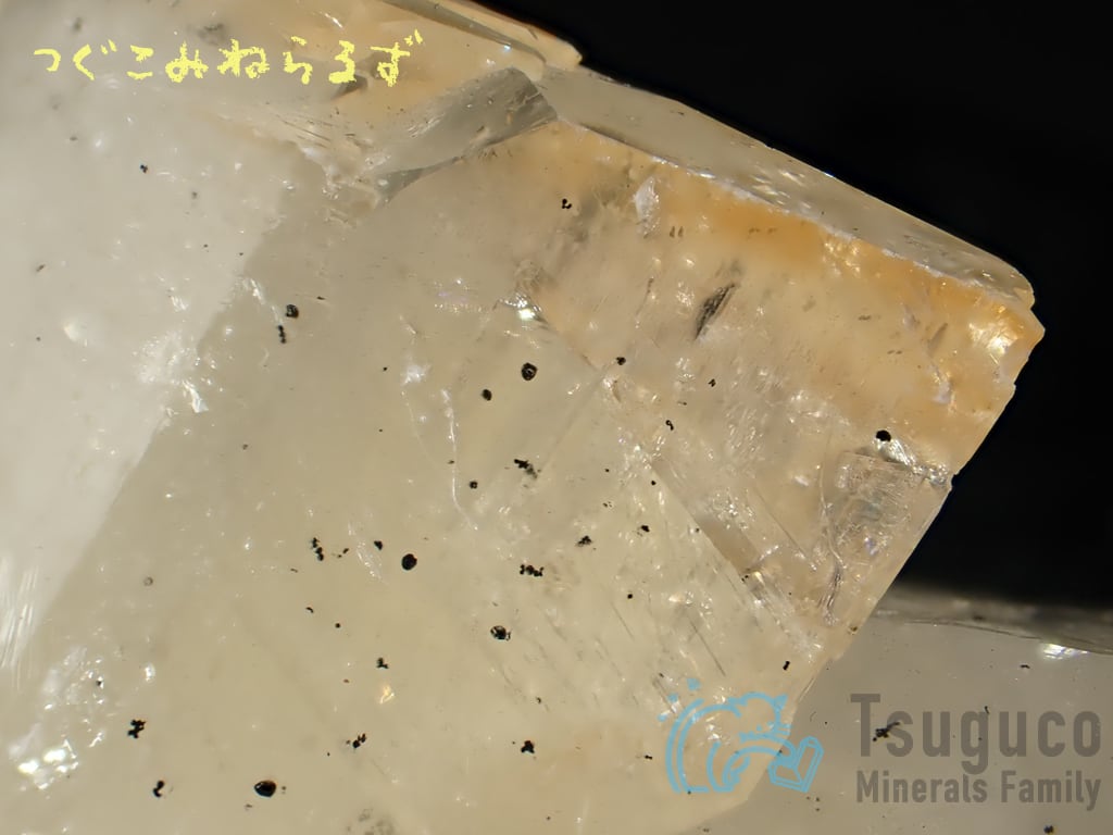カルサイト 方解石 Calcite 産地不明 TM-0033