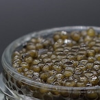 FIVE STAR CAVIAR　10g