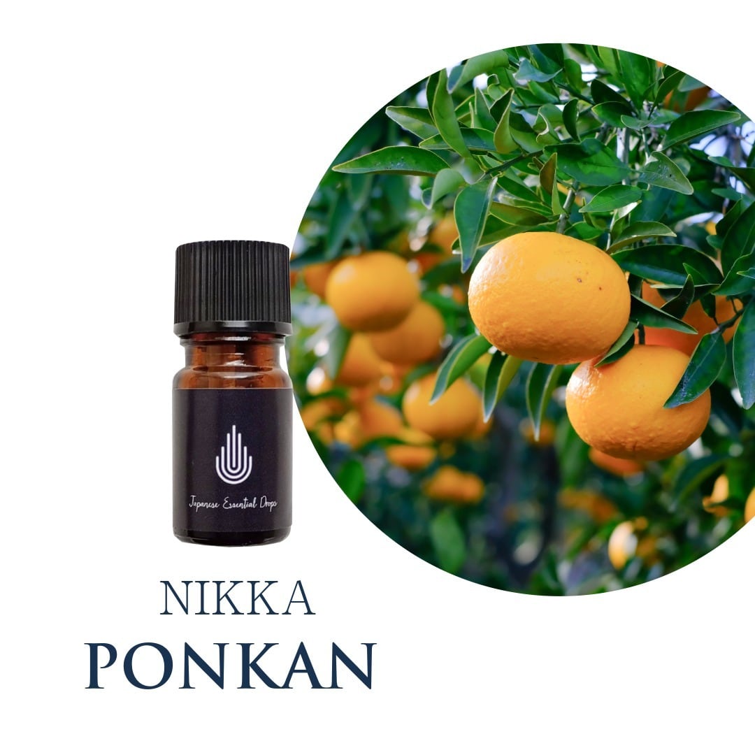 ポンカン 5ml