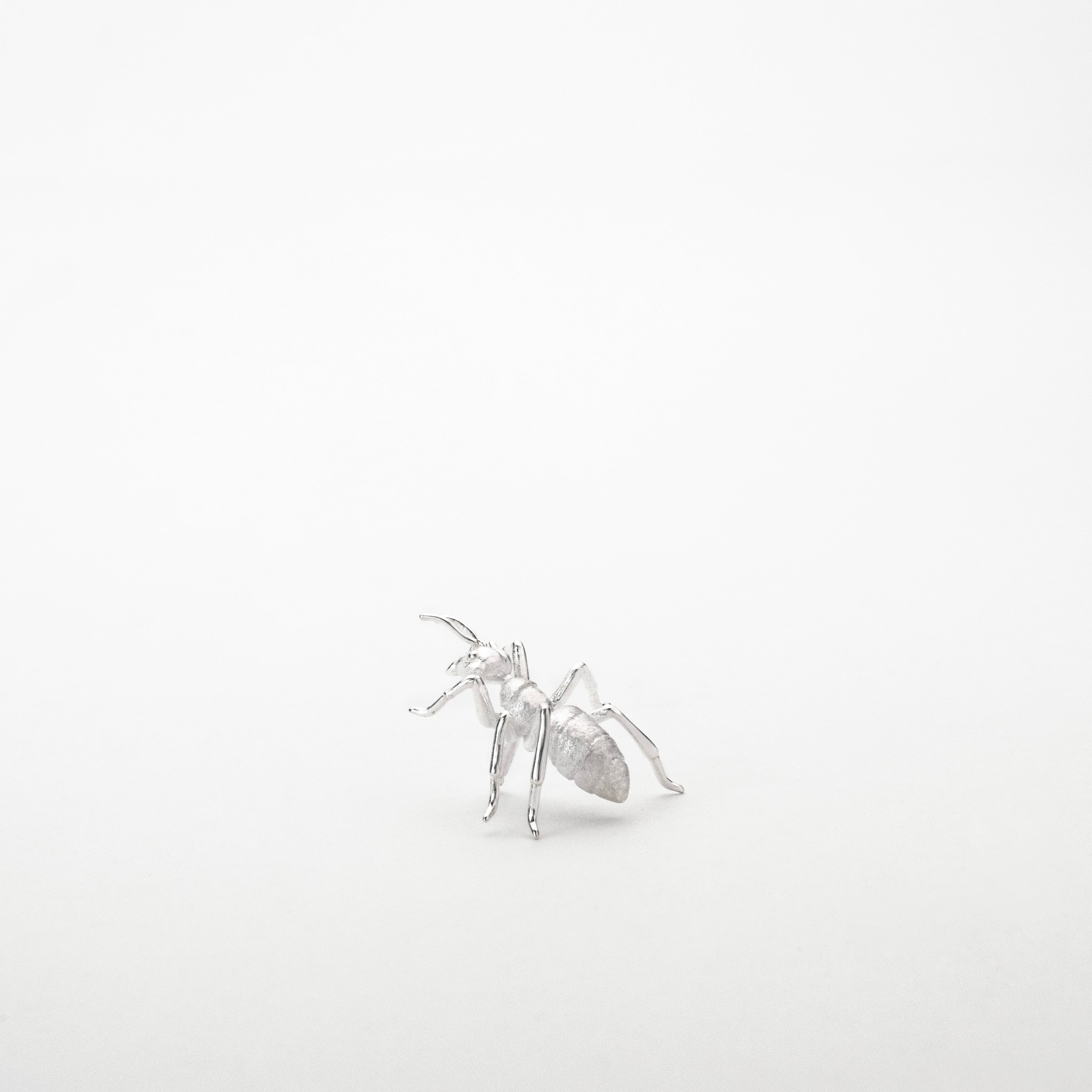 アリ観察 ブローチ | HENUN