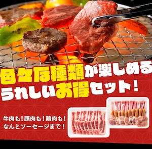 お肉屋さんの焼肉4種盛りバラエティーセット　1kg（牛：400ｇ・豚：200ｇ・鶏：200ｇ・ウインナー：200ｇ）