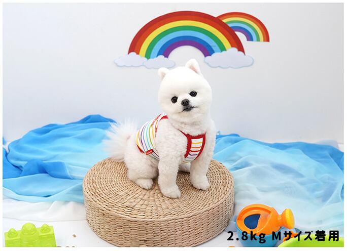 【SALE】rainbow croptop S ~ XL 2color / 犬の服 犬服 新作 ショート丈 お揃い クロップドトップス 小型犬 中型犬 ペット洋服 ドッグウェア ペット用品 top110