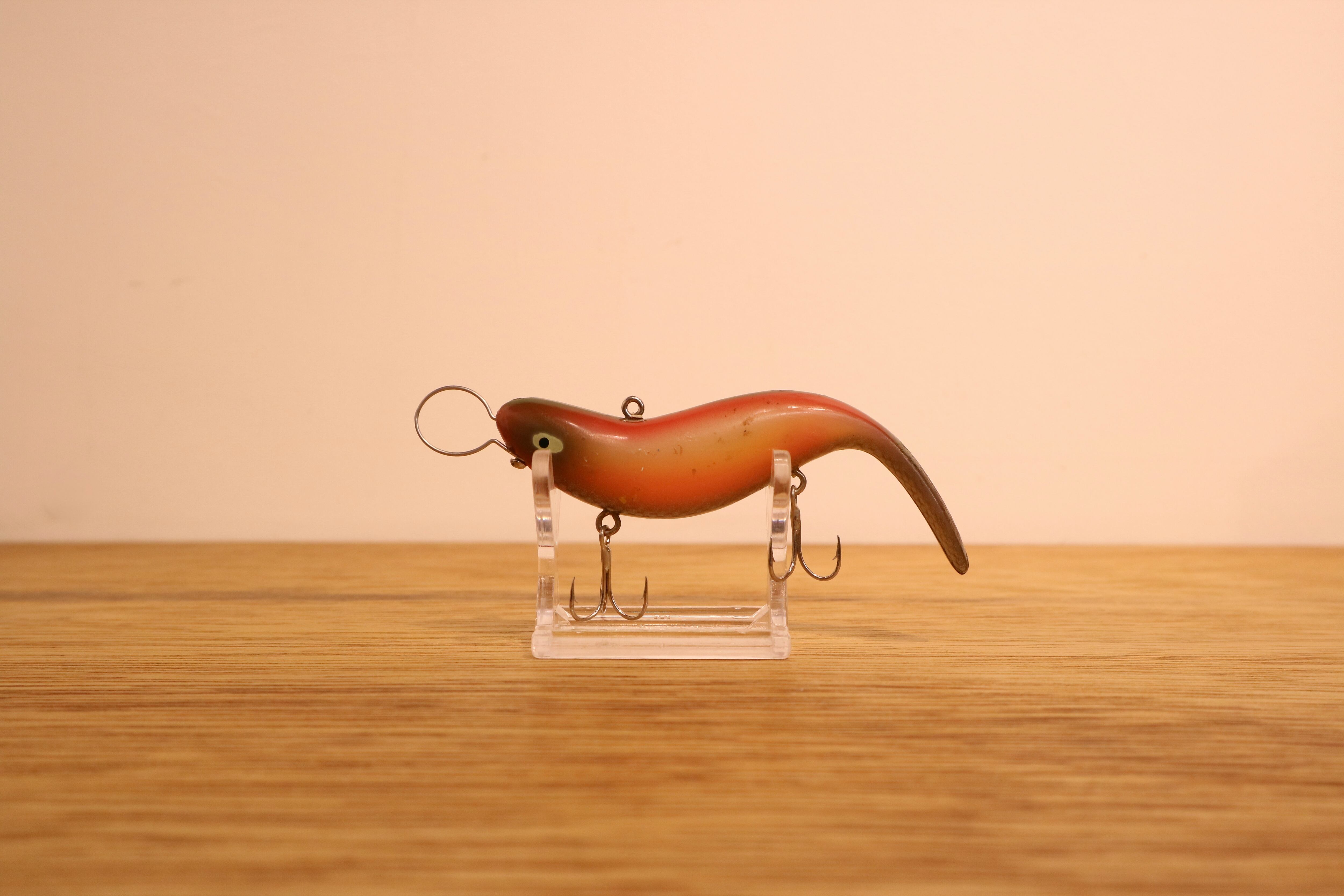 CORMORAN (コーモラン) / ドジョッコ