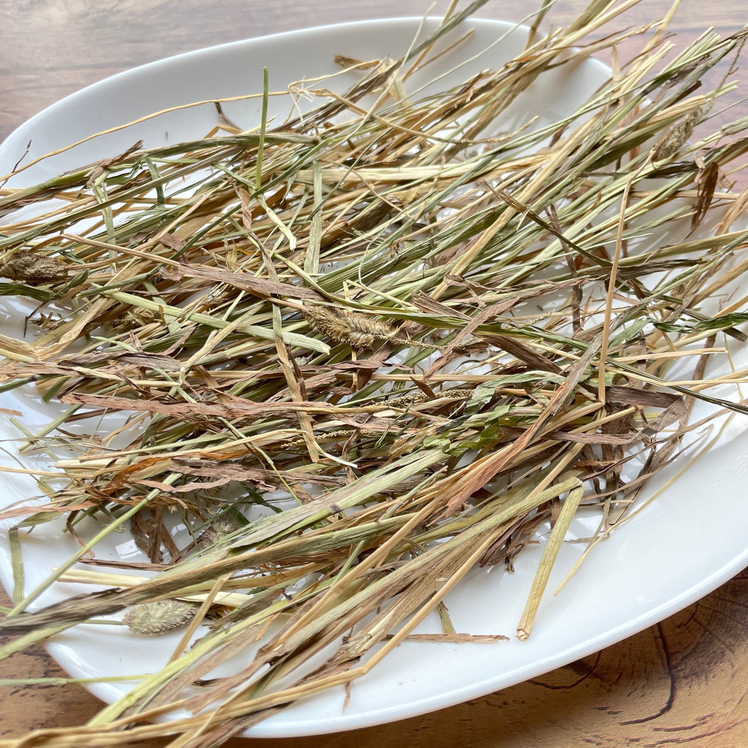 2025年産　セカンドフラッシュ　カナダ産（ドライランドエリア）チモシー 5kg