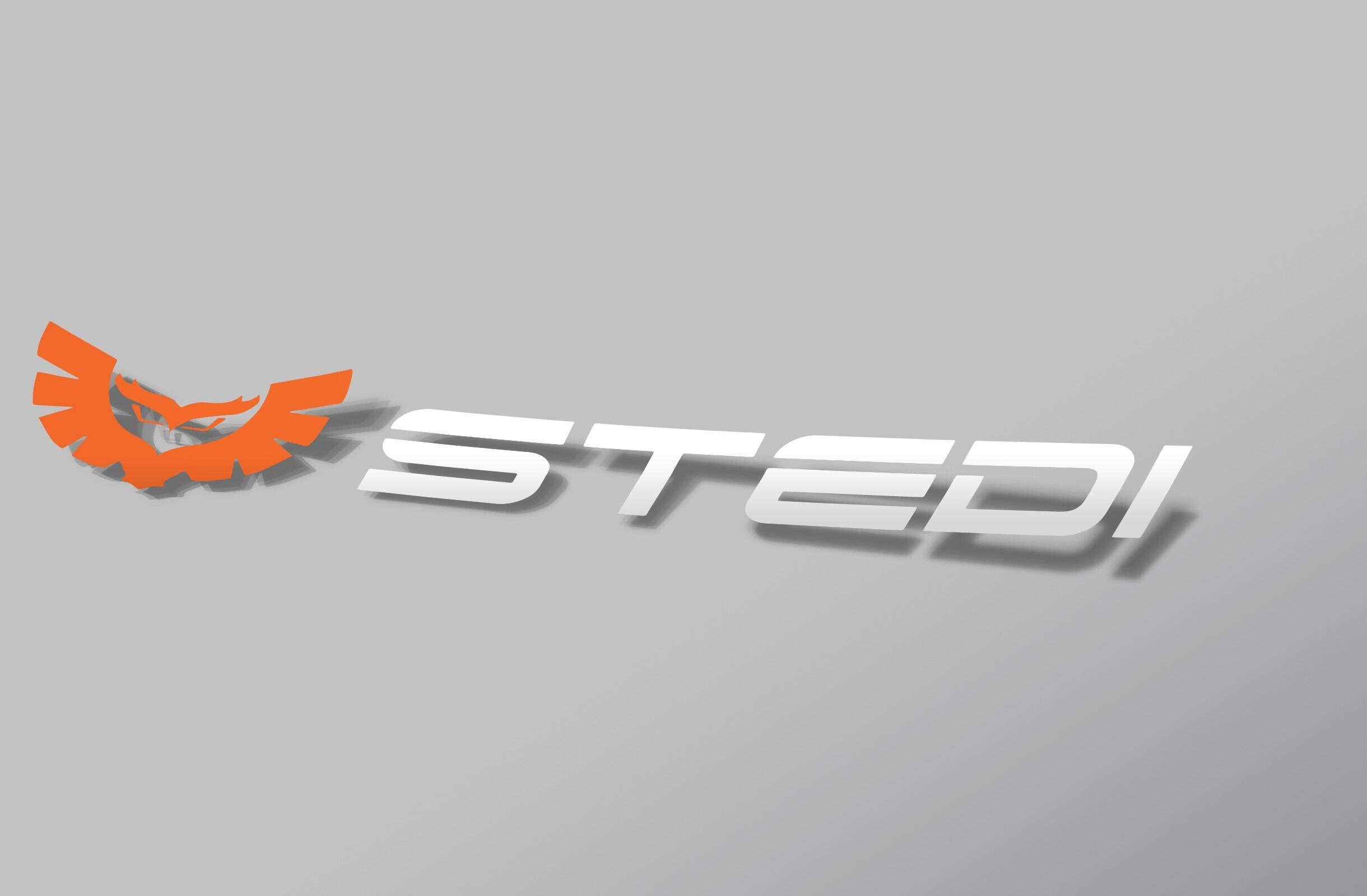 STEDI™ ロゴ バナーステッカー｜Logo Banner Sticker (Small) 270mm