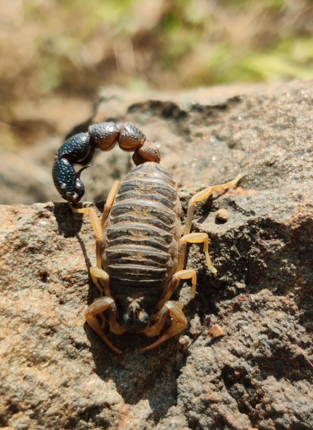 76eeb7e7e6bce8d3bff5e98cc33fa9