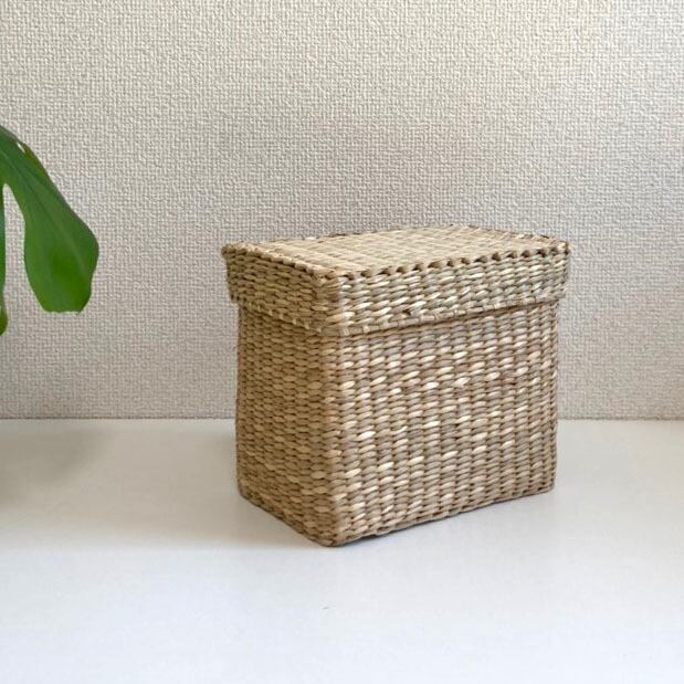 シーグラス バスケット 水草バスケット(SGA-250)