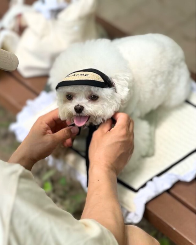 受注制作【curum】Initial Sun Cap〔お名前item〕