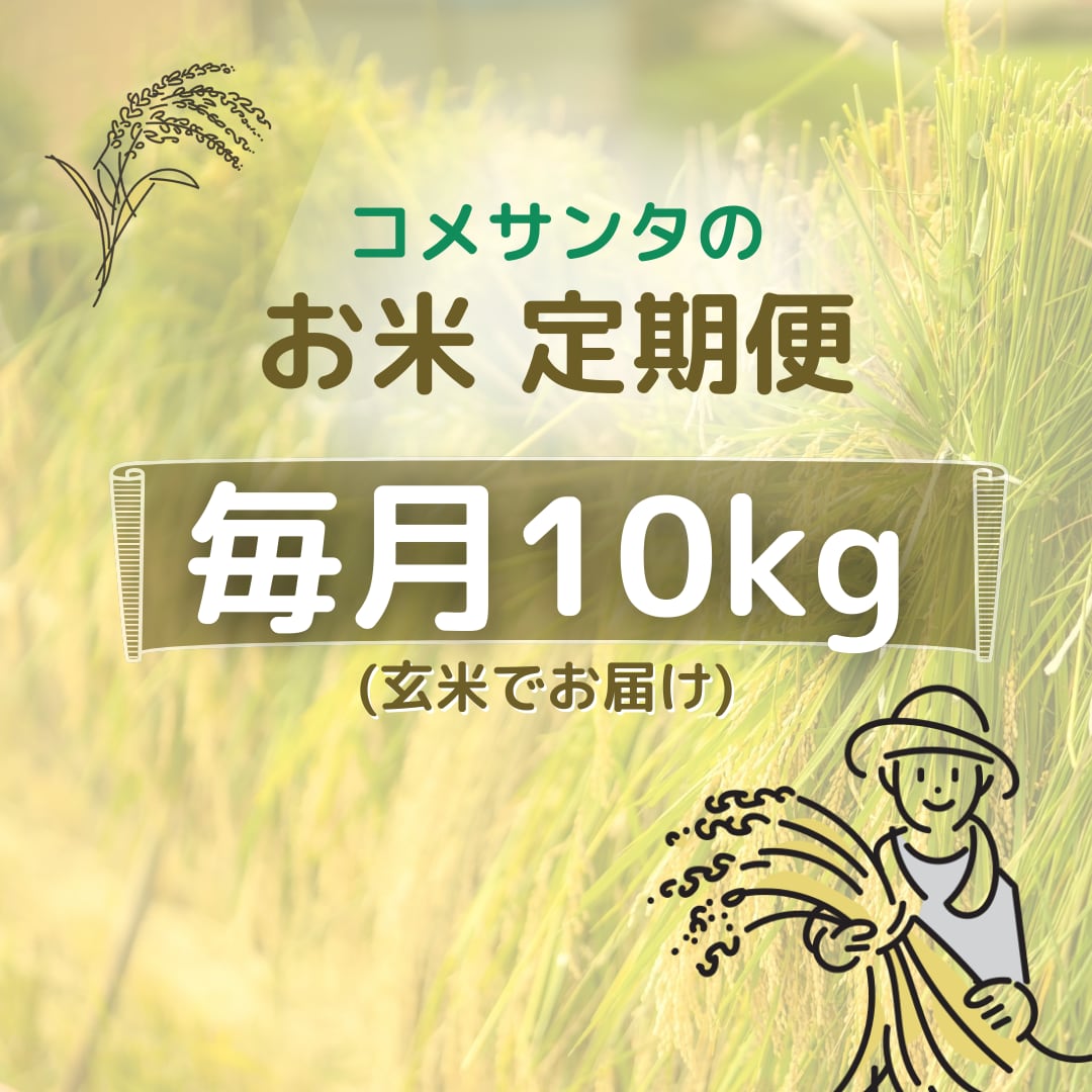 広島県産コシヒカリ 10㎏定期便 | myfriend