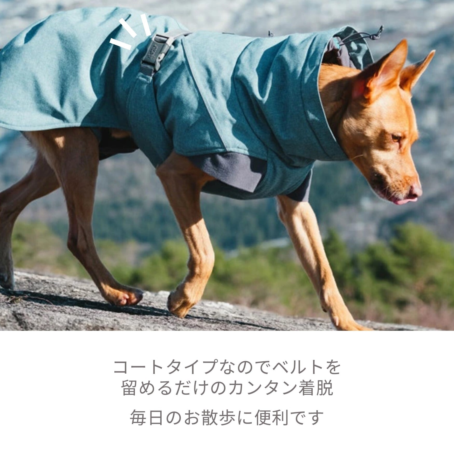 Hurtta】【フルッタ】・ドッグジャケット【エクスペディションパーカー