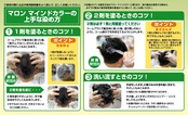 マロン マインドカラー クリーム B 明るいブラウン 140グラム (x 1)