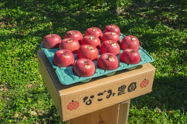 サンふじ  贈答用　１０kg